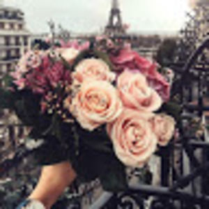 Meet your Posher, Annalena